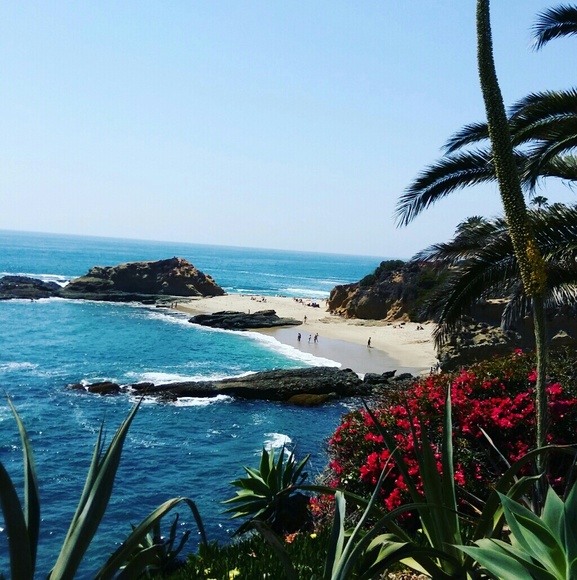 Meet your Posher, Sasha - Picture 4 of 8